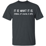 It Is What It Is T-Shirt CustomCat